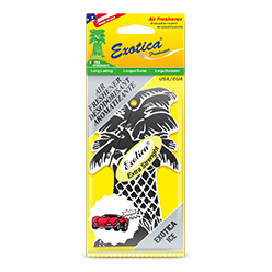 Palm Tree Counter Display 1-Pack. Exotica Ice
