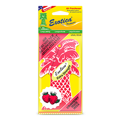 Palm Tree Counter Display 1-Pack. Strawberry